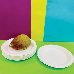 plate-6inch